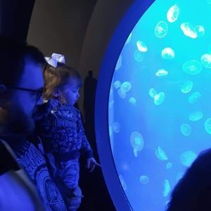 Meet your Posher, Dan